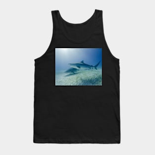 Two Tiger Sharks in the Sun Tank Top